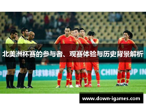 北美洲杯赛的参与者、观赛体验与历史背景解析
